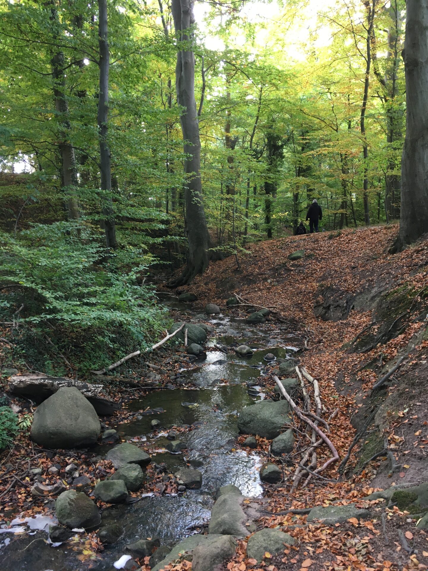 Pilgrimsvandring – Mallingskløft