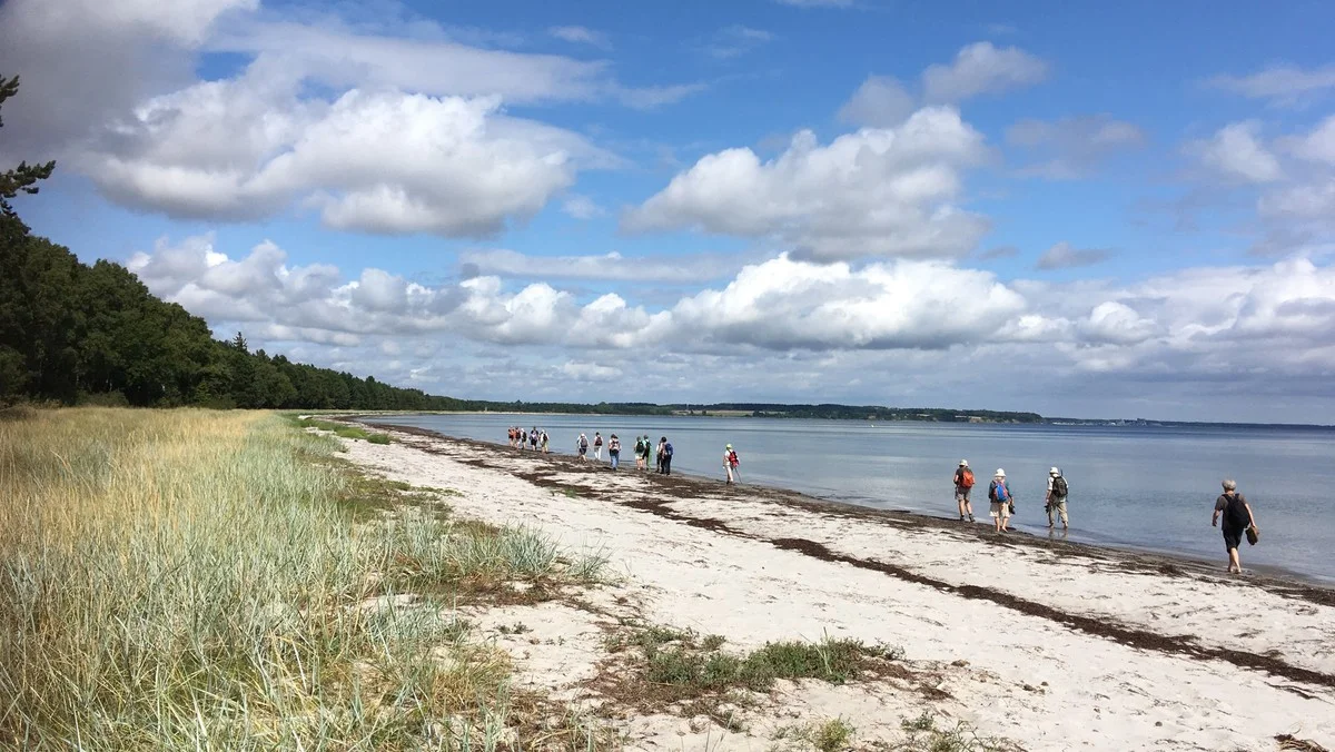 Pilgrimsvandring ved Ulvshale